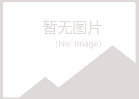 光山县字迹咨询有限公司